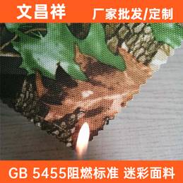 GB 5455阻燃标准